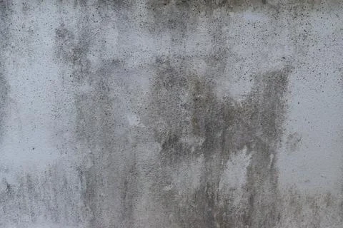 Dark gray cement surface for form work Stock Photos