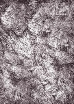 Dark gray fur background texture creating wavy pattern Foto stock