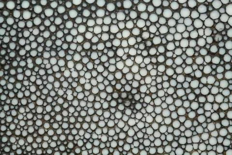 Dark gray gnarled texture Stock Photos