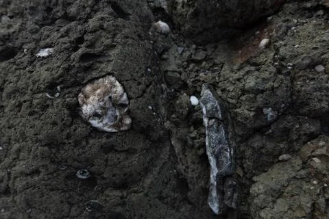 Dark gray rock surface showing embedded calcite minerals Stock Photos