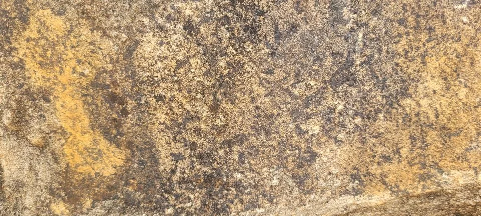 Dark gray rustic cementitious texture Stock Photos