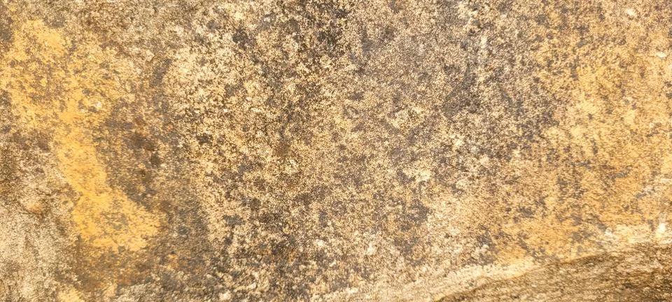 Dark gray rustic cementitious texture Stock Photos