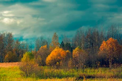 Dark gray storm clouds over the autumn forest 写真素材