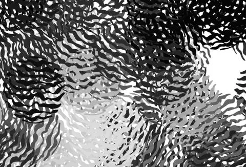 Dark Gray vector backdrop with wry lines. Stock Illustration