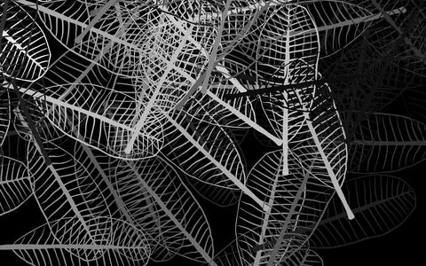 Dark Gray vector doodle texture with leaves. Illustrazione stock