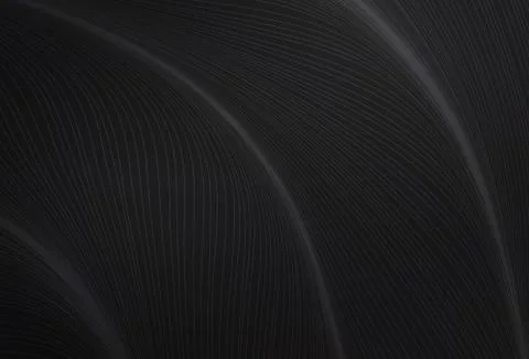 Dark Gray vector pattern with wry lines. Illustrazione stock