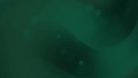 Dark Green Abstract Background with Smooth Waves and Soft Light Effect Stockbeeldmateriaal 303398536