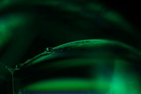 Dark Green Abstract Bubble Edge Macro Stock Photos