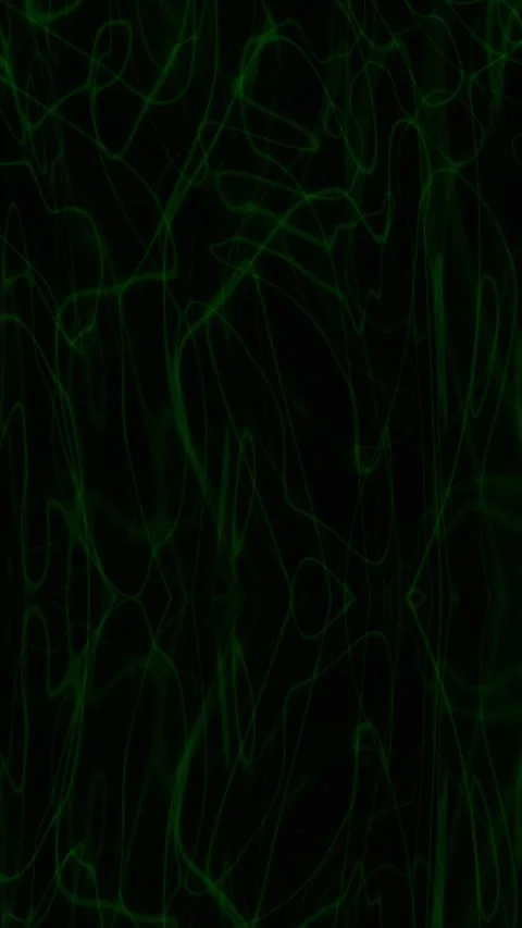 Dark Green Abstract Organic Line Motion Background with Subtle Flowing Patterns Stock Footage 342910955