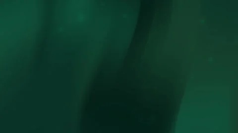 Dark green and black gradient Stock Footage 303398875