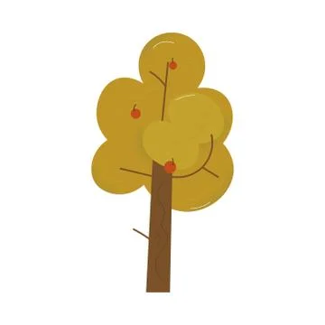 Dark green autumn or fall tree with seasonal foliage and red fruits Stock Illustration