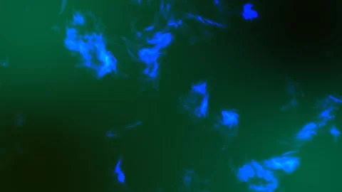 Dark green background with blue glowing light, chaotic. Stock Footage 281148516
