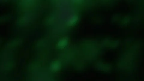 Dark green background with glowing spots. Stock Footage 340010284