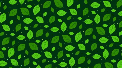 Dark green background with leaves Stock Footage 111989123