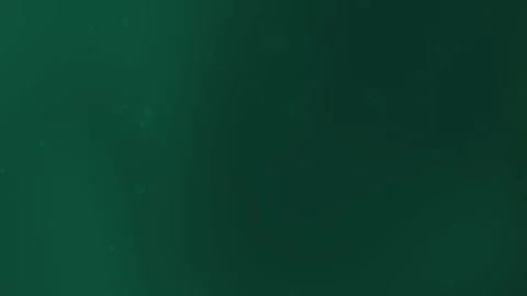 Dark green background with some light specks 스톡 동영상 303398832