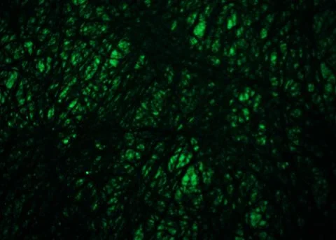 Dark green background texture backdrop for design Stock Photos