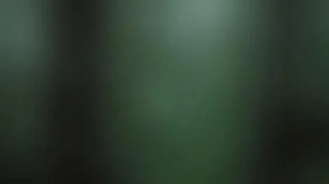 Dark, green blurred background vector Illustrazione stock