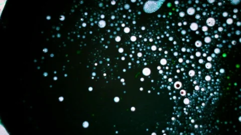 Dark green bubbly pattern made of liquid ink Stock Footage 125953709