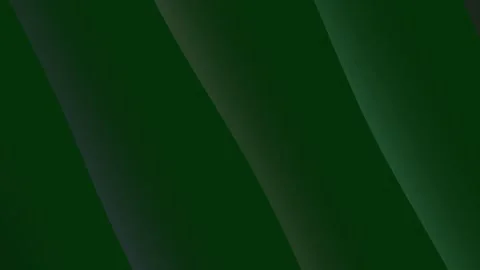 Dark Green Diagonal Stripes Background Texture. 스톡 동영상 330130894