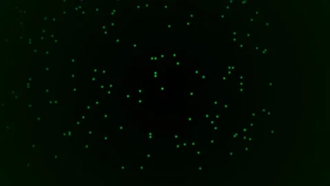 Dark green digital matrix rain binary code Stock Footage 346074824
