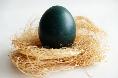 Dark green Easter dyed egg on coconut fiber on a white background close up Stock Photos