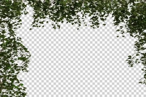 Dark green foliage, speckled with tiny, colorful fairy lights, frames a cen.. Fotos Stock
