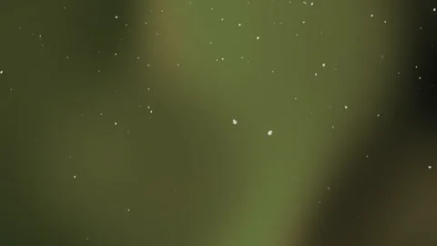 Dark green gradient with scattered white specks Stock Footage 320296856