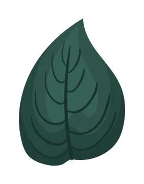 Dark green leaf painting vector design Ilustración de archivo
