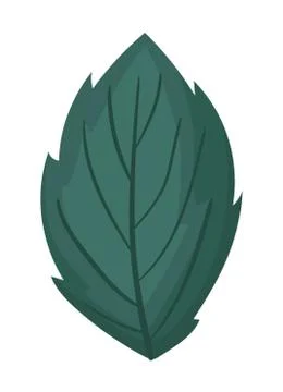 Dark green leaf painting vector design Ilustración de archivo