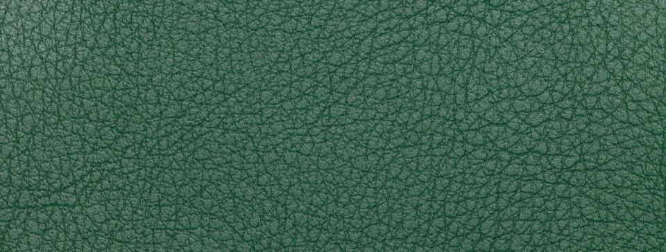 Dark green leather texture background with fine grain, macro surface. Uphol.. Stock Illustration