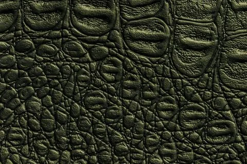 Dark green leather texture background, closeup. Reptile olive skin, macro. Foto stock