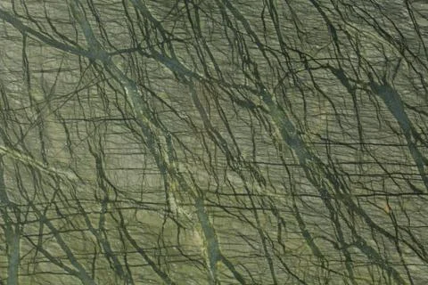Dark green marble texture close-up. Exclusive green natural stone background. Stock Illustration