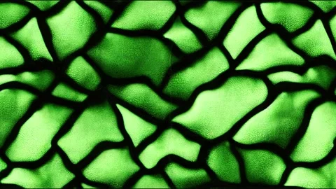 Dark green matte background of suede fabric, closeup. Velvet Stock Footage 220125531