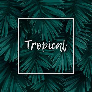 Dark green minimalistic vector design with exotic royal palm leaves. Stock Illustration