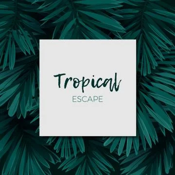 Dark green minimalistic vector design with exotic royal palm leaves. Illustrazione stock