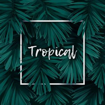 Dark green minimalistic vector design with exotic royal palm leaves. Stock Illustration