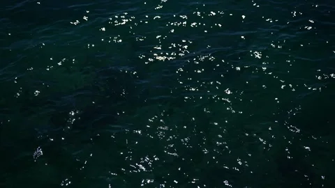 Dark Green Ocean Surface Stock Footage 306016602