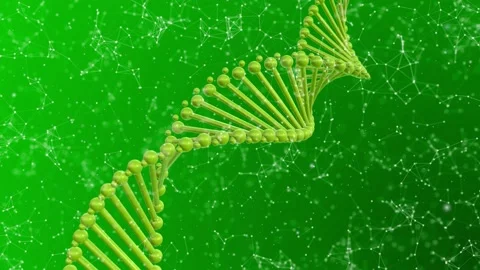 Dark Green Plexus DNA Background Video stock 154819234
