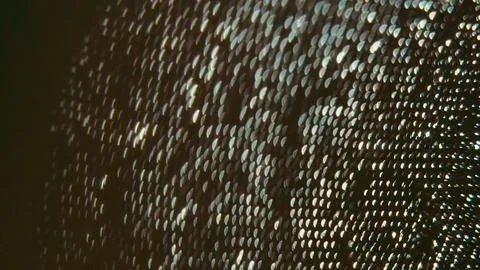 Dark Green Scale Pattern Texture Stock Photos
