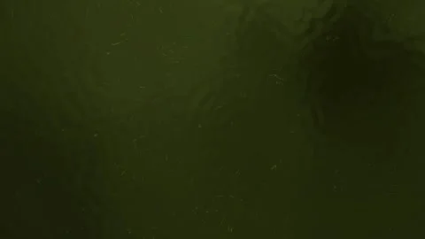 Dark green surface with water droplets and blurred textures naturethemed Stock Footage 316832017