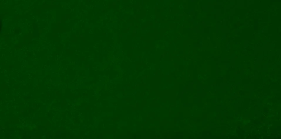 Dark green texture background backdrop for graphic design Stock Photos