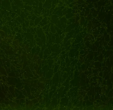 Dark green texture background backdrop for graphic design Stock Photos