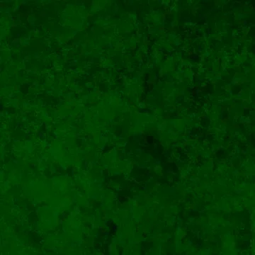 Dark green texture background backdrop for graphic design Stock Photos