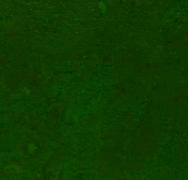 Dark green texture background backdrop for graphic design Stock Photos