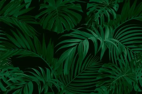Dark green tropical pattern with palm leaves. Summer vector background or Illustrazione stock