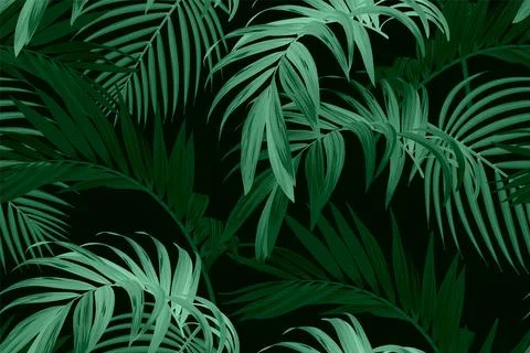 Dark green tropical pattern with palm leaves. Summer vector background or イラスト素材