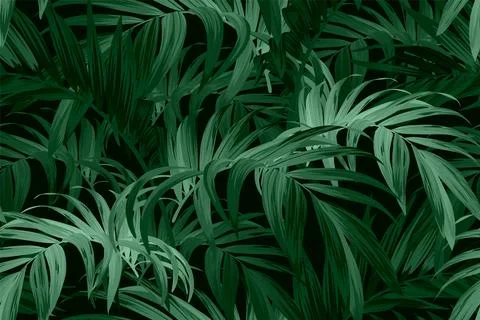 Dark green tropical pattern with palm leaves. Summer vector background or Stock Illustration