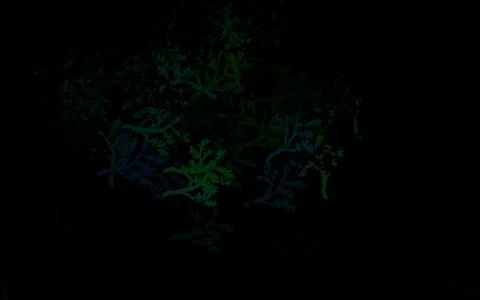 Dark Green vector doodle pattern with trees, branches. イラスト素材