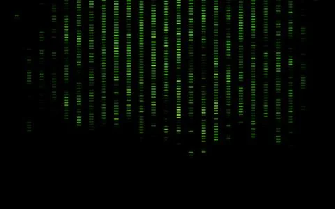 Dark Green vector layout with flat lines. Illustrazione stock