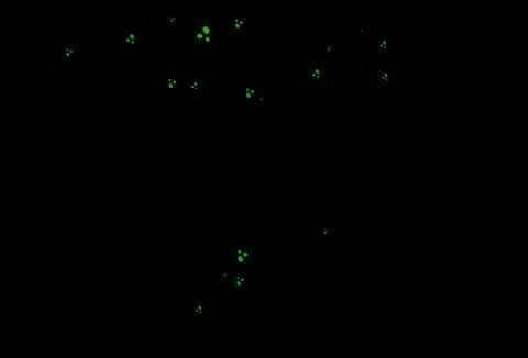 Dark Green vector pattern with liquid shapes. Illustrazione stock